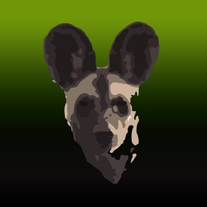 Painted Dog TV