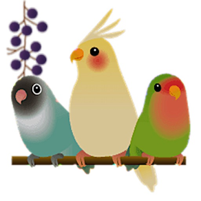 Adorable Birds Emoij Stickers