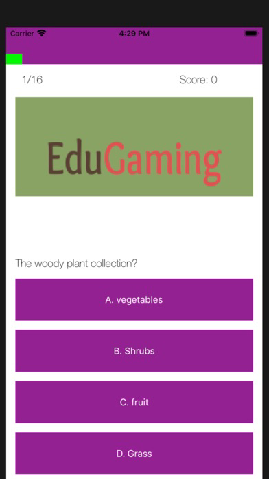 EduGaming 포스터