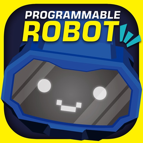 Programmable Robot