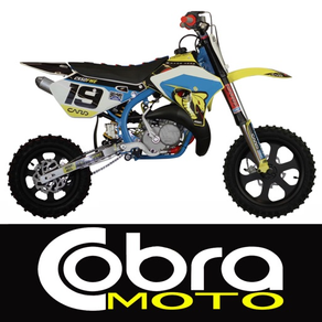 Carburação Cobra 2T Moto Dirt