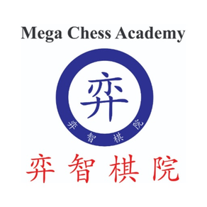 Mega Chess Academy