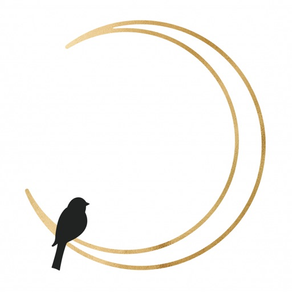 Moonbird Yoga