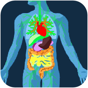 Gut Microbiome