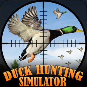 Simulateur de chasse au canard