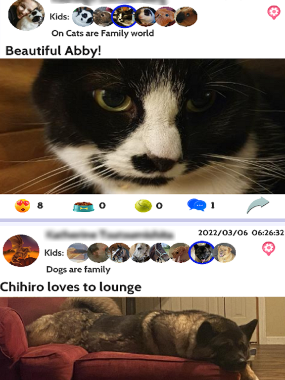Licky- Social Media for Pets poster