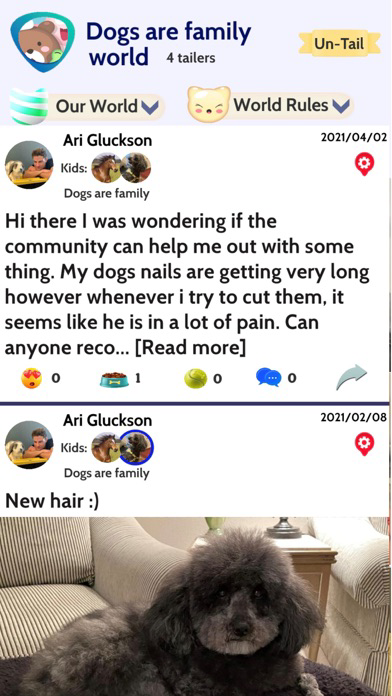 Licky- Social Media for Pets poster