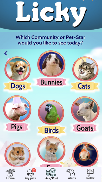 Licky- Social Media for Pets poster