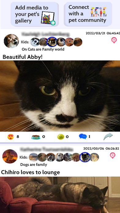 Licky- Social Media for Pets poster
