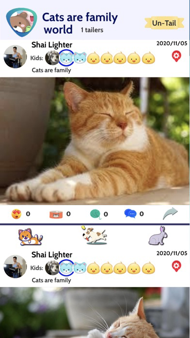 Licky- Social Media for Pets poster