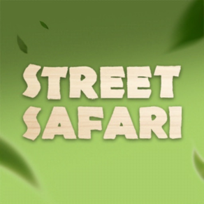 Street Safari