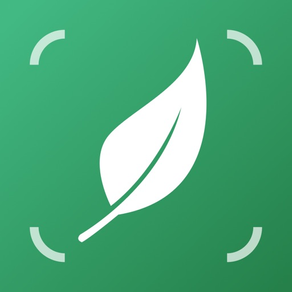 AI Plant Identifier・Care－Lily
