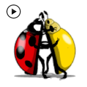 Animated Funny Ladybug Sticker