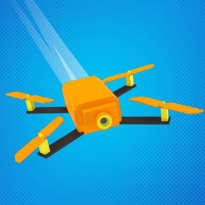 Drone Race 3D
