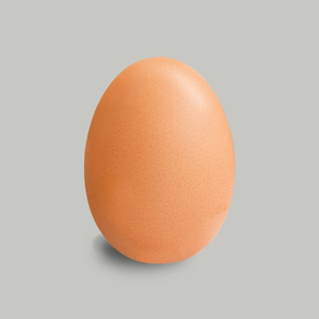 요리 계란 Egg Timer
