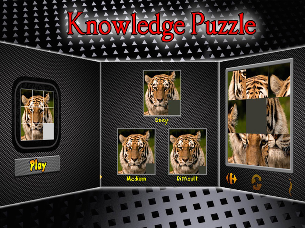 Knowledge Puzzle poster