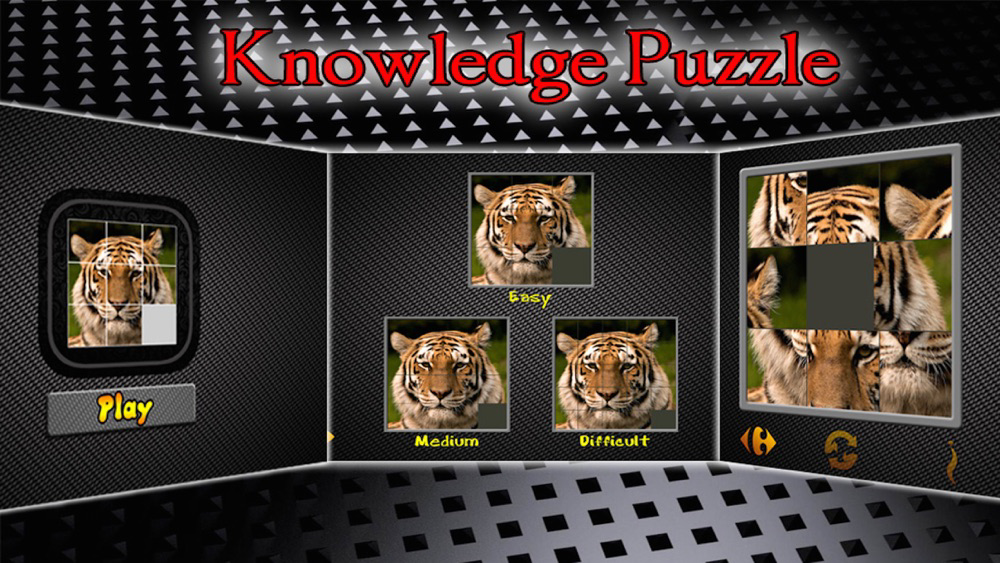 Knowledge Puzzle poster