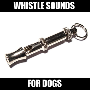 Dog Whistle Sounds High Pitch!