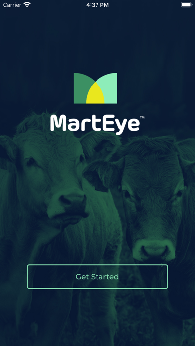 MartEye poster