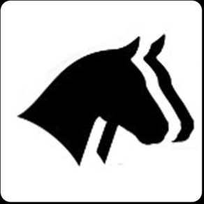Horse Report