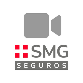 SMG Seguros Video Peritación