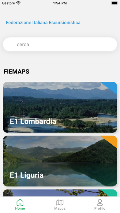 FIE Maps Cartaz