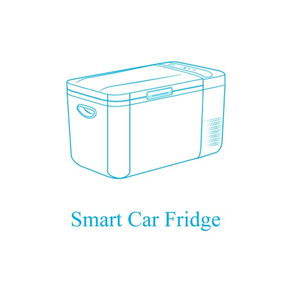 car refrigerator