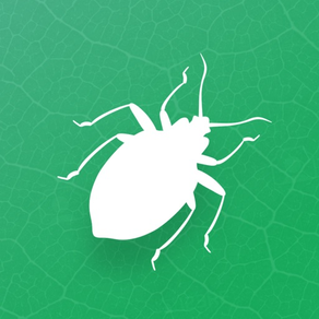 Insecta - Study Insects in AR