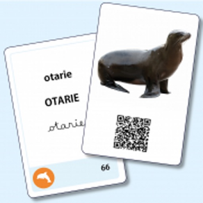 Vocabulaire Maternelle