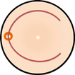 BIO Camera