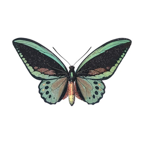 Amazing Butterfly Stickers