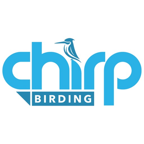 Chirp Birding