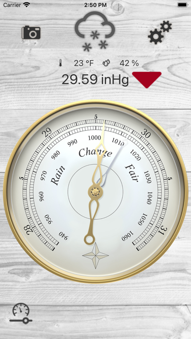 Professional Barometer poster