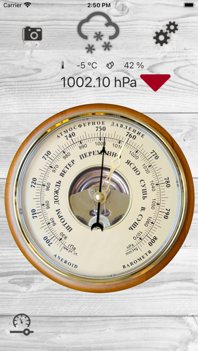 Professional Barometer poster