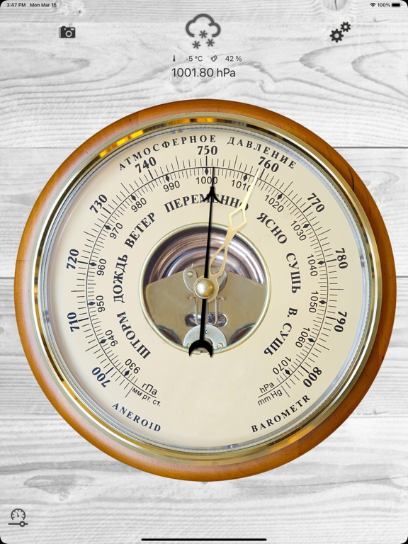 Professional Barometer poster