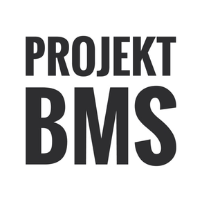 Projekt BMS 2019