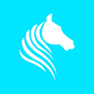 Jockey Go