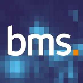 BMS SamePage