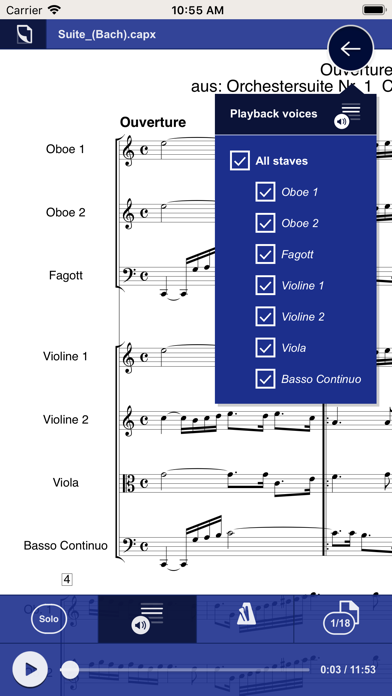 capella score reader poster