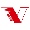 Vision-S
