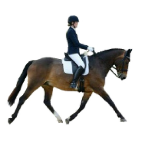 Alison Short Dressage