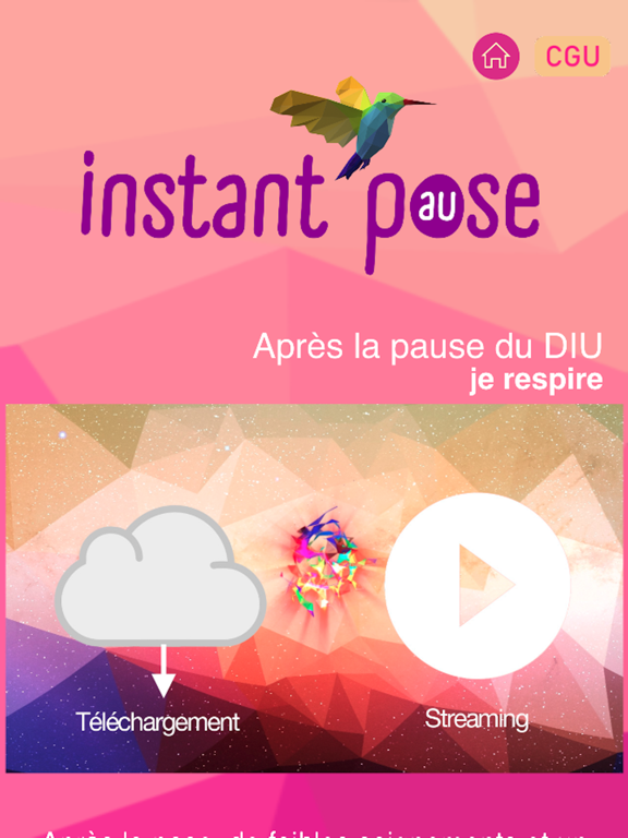 Instant Pause poster