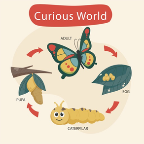 Curious World: Preschool Learn