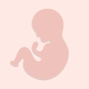 Baby Tracker - Contraction App