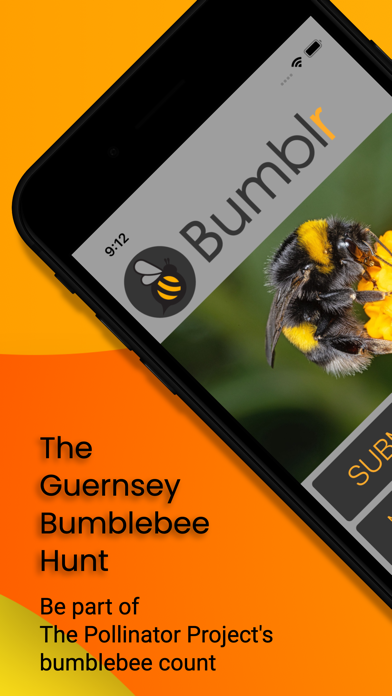 Bumblr - Guernsey Bumblebees poster
