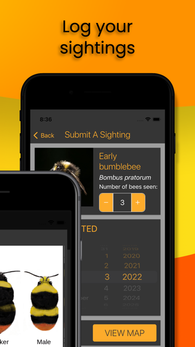 Bumblr - Guernsey Bumblebees poster