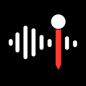 Voice Recorder with Timecodes