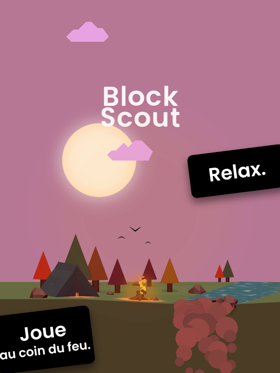 Block Scout Affiche