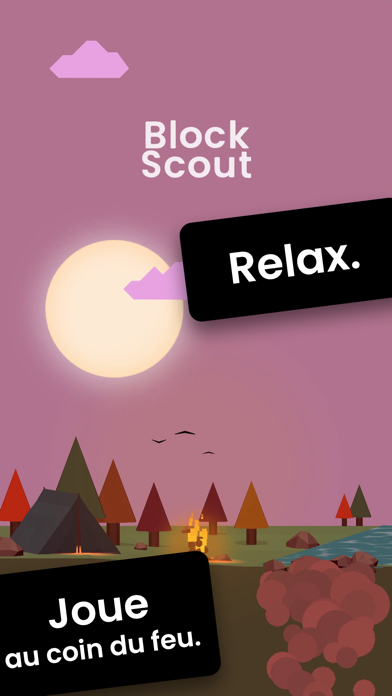 Block Scout Affiche