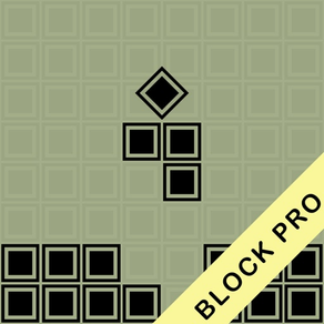 Block Puzzle Pro